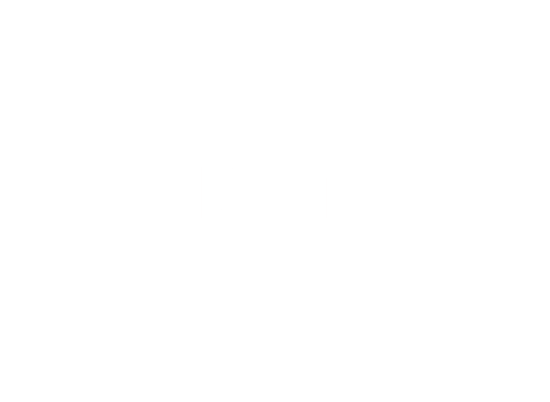 logo-but (1)