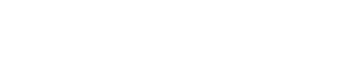 décli-logo-solution-store-flow